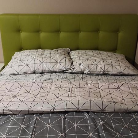 Cozy Home Bujorilor Τιμισοάρα Εξωτερικό φωτογραφία