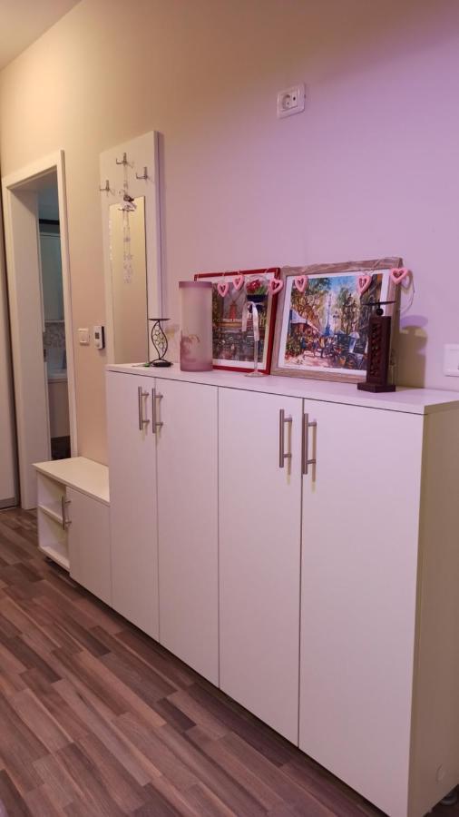 Cozy Home Bujorilor Τιμισοάρα Εξωτερικό φωτογραφία