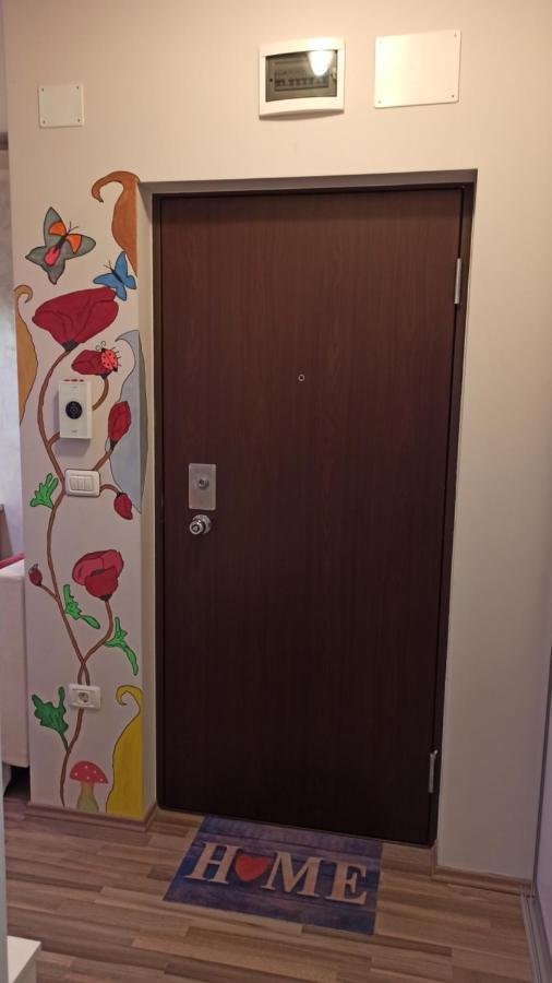Cozy Home Bujorilor Τιμισοάρα Εξωτερικό φωτογραφία