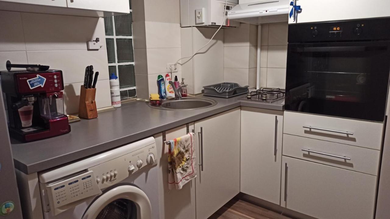 Cozy Home Bujorilor Τιμισοάρα Εξωτερικό φωτογραφία