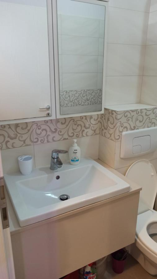Cozy Home Bujorilor Τιμισοάρα Εξωτερικό φωτογραφία