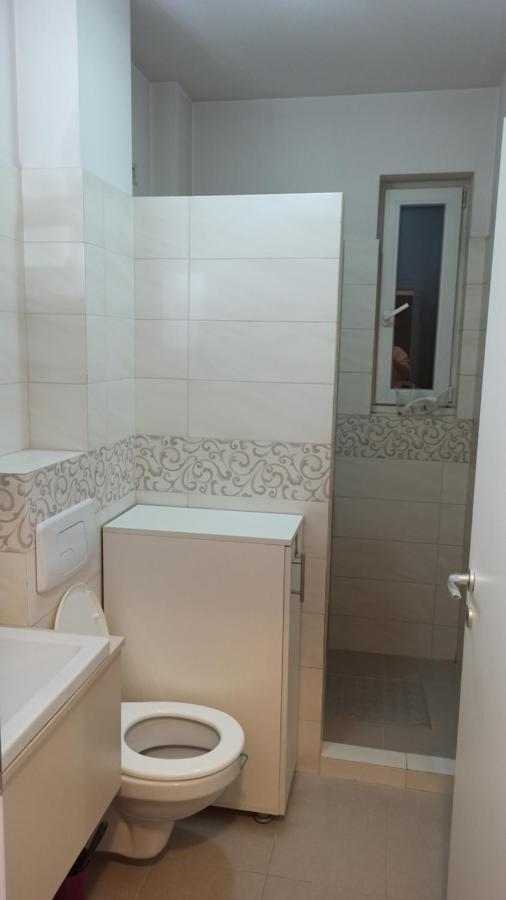 Cozy Home Bujorilor Τιμισοάρα Εξωτερικό φωτογραφία