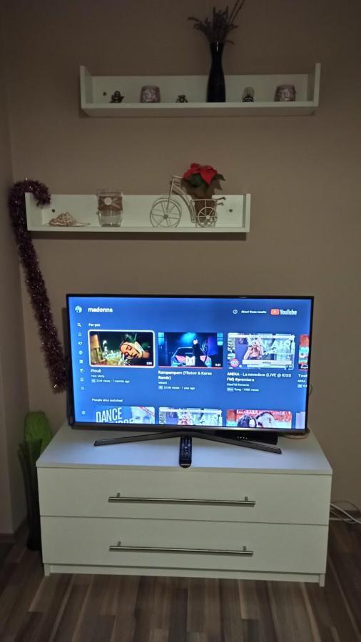 Cozy Home Bujorilor Τιμισοάρα Εξωτερικό φωτογραφία